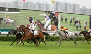 Giải Mã Cá Cược Đua Ngựa ABC8 Kinh Nghiệm Xương Máu Từ Trường Đua