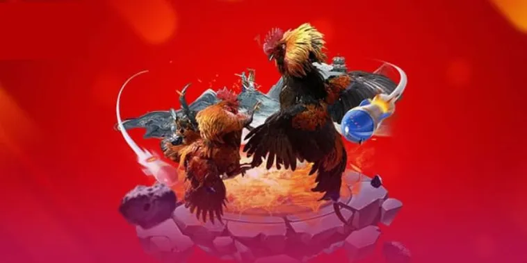 Bật Mí Bí Ẩn Về Đá Gà ABC8 Mà 99% Cược Thủ Bỏ Lỡ